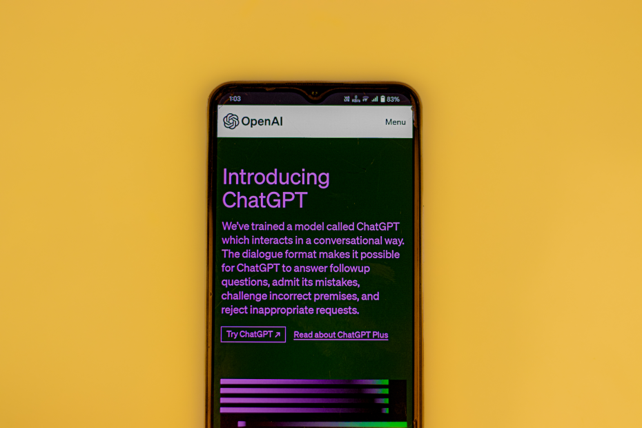 chat-gpt-sandbox